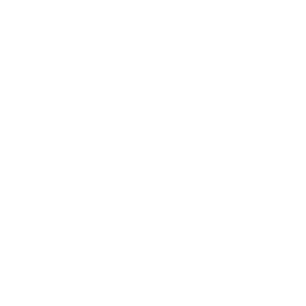 twenty plus years experience